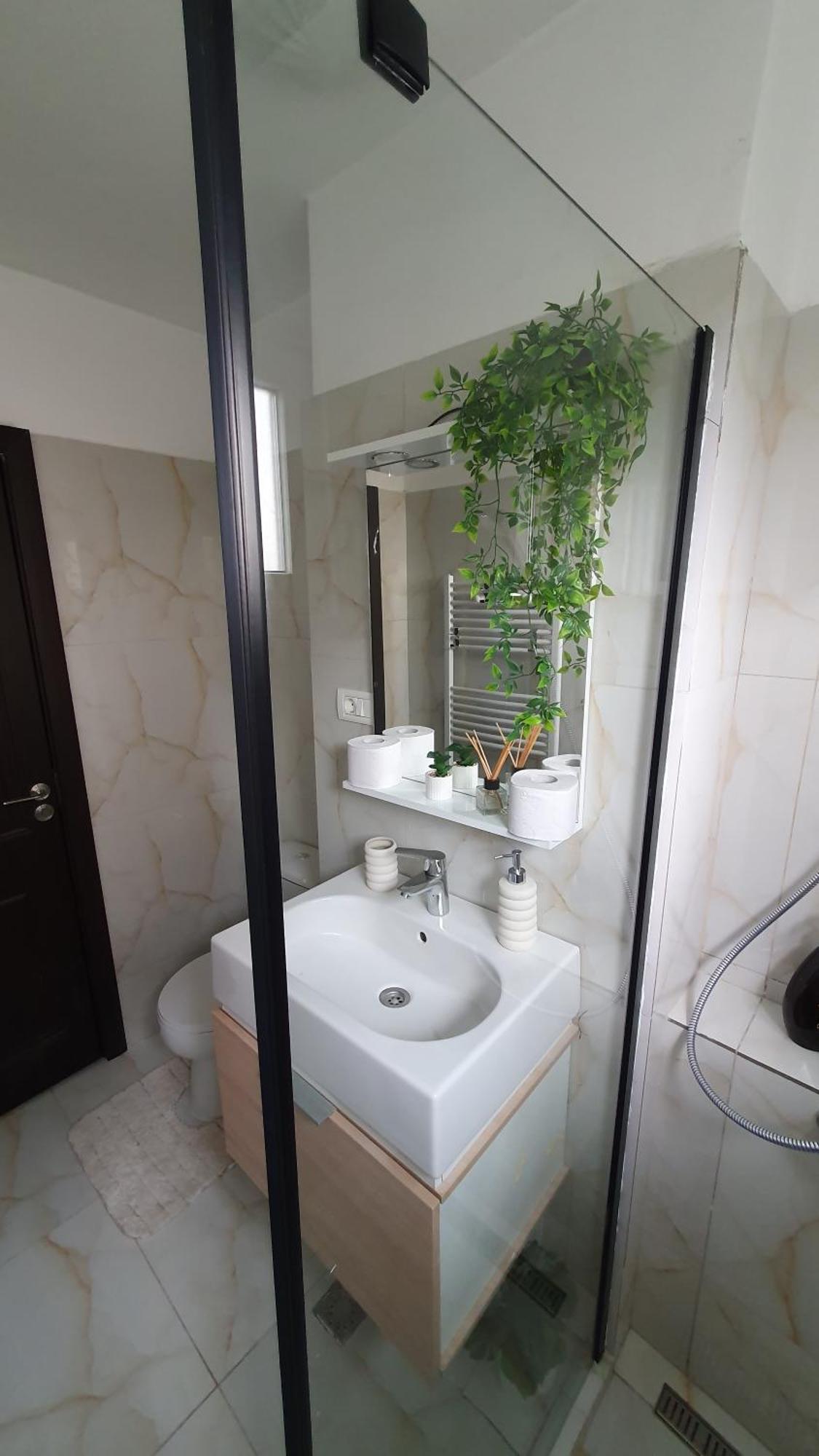 Andrei Apartment Брашов Екстериор снимка