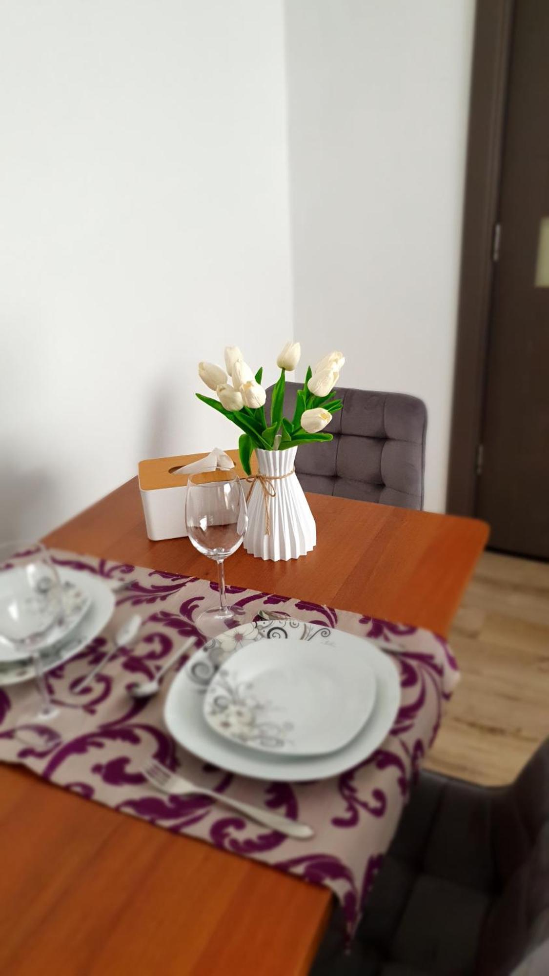 Andrei Apartment Брашов Екстериор снимка